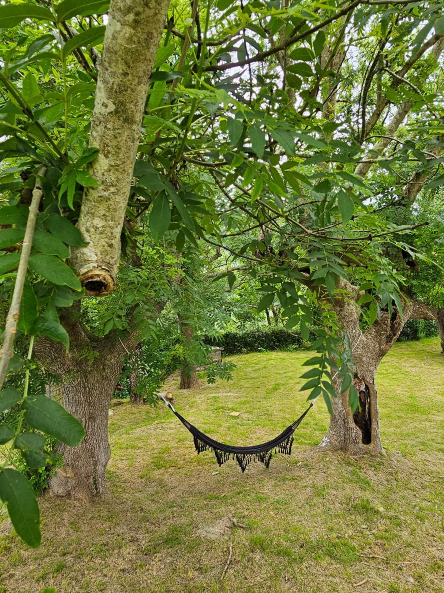 Arbela Apartamentuak Aia Exteriör bild